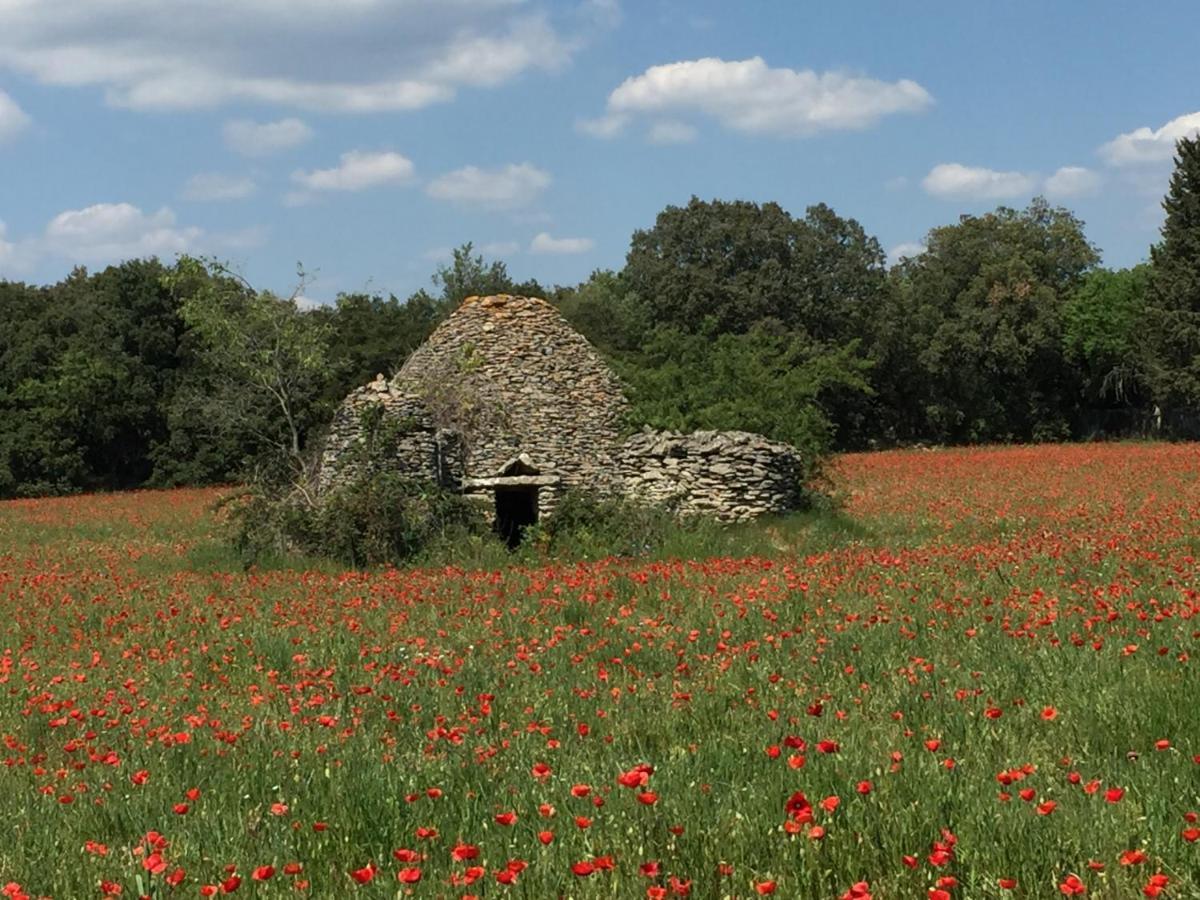 B&B Et Gite D'Ayran Saint-Quentin-la-Poterie Exteriér fotografie