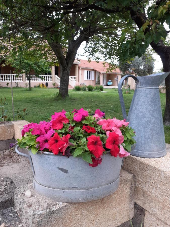 B&B Et Gite D'Ayran Saint-Quentin-la-Poterie Exteriér fotografie